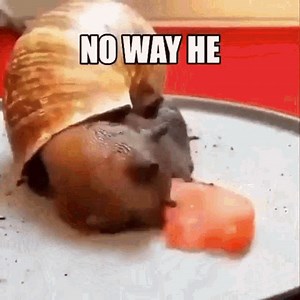 29K views · 854 reactions | Memes Without Bottom Text on Reels | Facebook