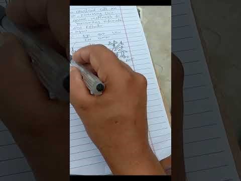 Neuron and its types