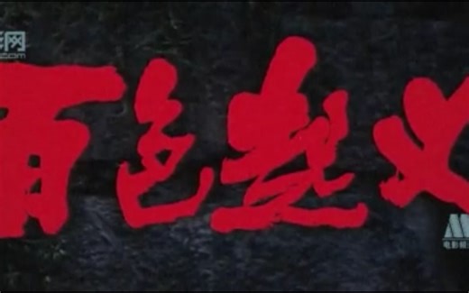 百色起义，广西党史经典红色故事——《成群结队》