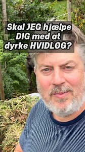 HVIDLØG - skal JEG hjælpe DIG? - så følg med på Jydehaven på facebook - så tager jeg dig med på ALLE trin fra forberedelse af hvidløgsbedet, gødning, vanding, sætteløg - helt frem til at vi sammen kan høste store lækre hvidløg næste sommer. Tryk på "FØLG" - så hjælper jeg dig i mål. | Jydehaven.dk
