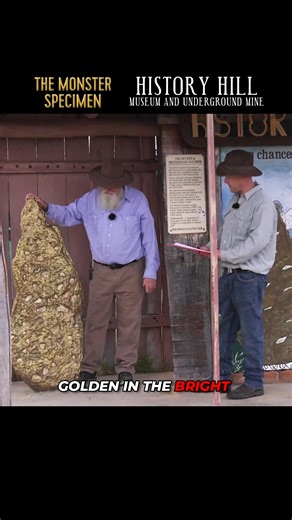 15,000 oz of Gold in ONE find—And The specimen Was Only 20% of It 😱 15,000 ounces of GOLD in a single find—and the specimen was only 20% of the total discovery. 🤯 When the Holtermann specimen reached the surface, witnesses said it gleamed even brighter in daylight. Gold ran through EVERY part of it. One-third pure gold. 650 pounds. 3,000 ounces of the real metal. This wasn't just a discovery—it was THE discovery that changed everything. 🎬 Watch the full story unfold in THE MONSTER SPECIMEN, a