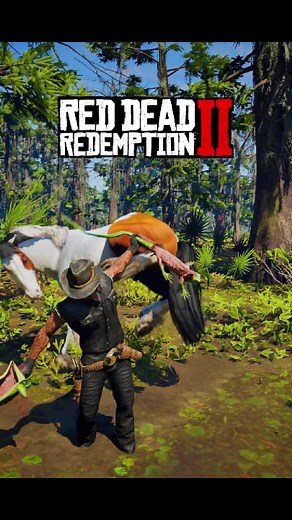 Myth Busting in Red Dead Redemption 2