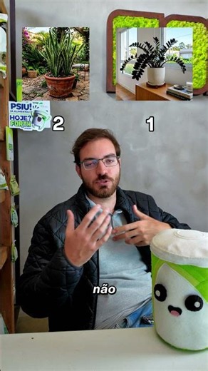 Which one would you choose? #plants #fyp