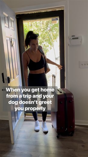 When your dog doesn't greet you properly 😲 | Random Sam