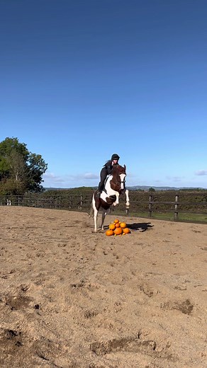 Horse Halloween Costume Ideas: Pumpkin Transformation