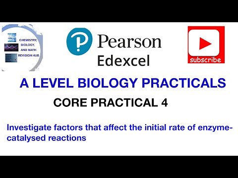 Initial rate of enzyme activity | Core practical 4