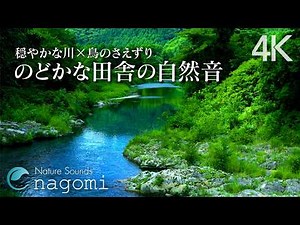 River Flow & Forest Birds Chirping | Gentle Nature Sounds ASMR for Sleeping, Relaxing