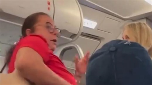 ‘She pulled her pants down in front of kids’: Woman's shocking act mid-flight
