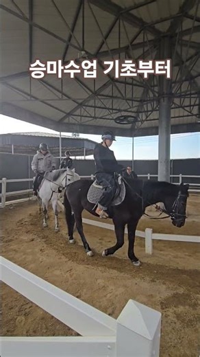 Horseback riding lessons, step by step, from the basics, safe and sound #horsebackriding #horse #...