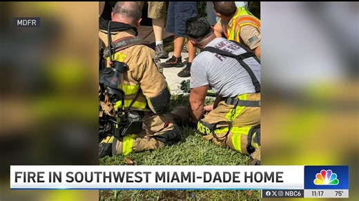 Watch NBC 6's coverage of Miami-Dade Fire Rescue's (#MDFR) response to a First Alarm single-family house fire in the 13900 block of SW 9th Street on Jan. 25, where firefighters rescued and revived three cats using pet oxygen masks. Responding C-shift units: AIR, B12, B13, E58, E61, L29, M48, R29, R41, R58, R61, V08. | Miami-Dade Fire Rescue