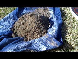 Tesoro Lobo SuperTraq- Metal Detecting in Blythe, Ca