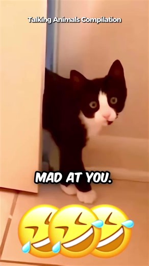 Talking Animals Compilation: Hilarious Pet Conversations