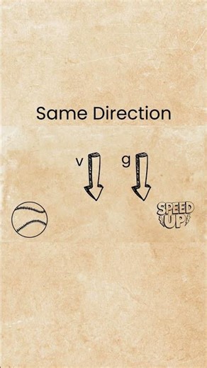 What Happens When a Ball Falls or Rises?