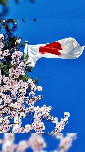 「一生に一度は行きたい！日本の神々が集まる場所『出雲大社』」 #出雲大社 #神話の国 #パワースポット #島根観光 #巨大注連縄 #神社巡り #日本の絶景 #桜 #うさぎ