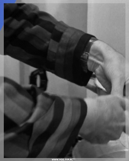 275K views · 5.4K reactions |  „Wojna domowa” – kultowy serial komediowy Jerzego Gruzy dostępny za darmo w TVP VOD!  To nie tylko komedia, ale też ciepła podróż do lat 60. – świata bigbitu, młodzieżowych buntów i niezapomnianych tekstów. | TVP VOD | Facebook