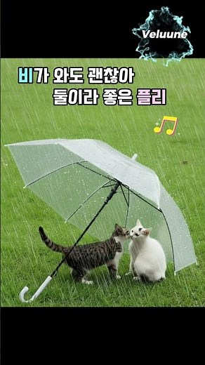 비오는 날 듣기좋은 노래🎶 Playlist