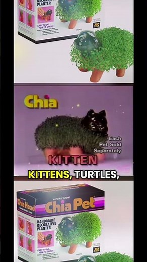 We all remember the jingle… but did anyone actually grow the chia seeds?
