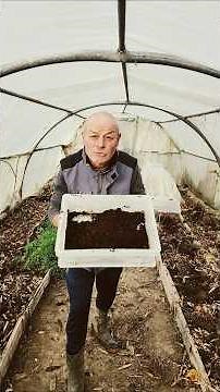 I'll tell you all about coffee grounds! Against ants!