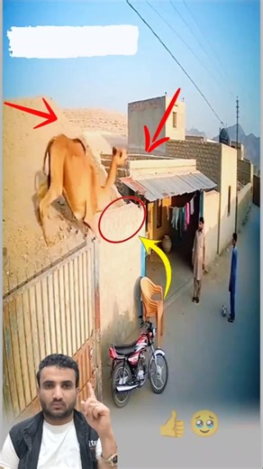 قلوب الناس اصبحت اقسئ من الصخر سبحان الله... رحمت الله سبقت مكرهمyoutubeshorts #love #اكسبلور