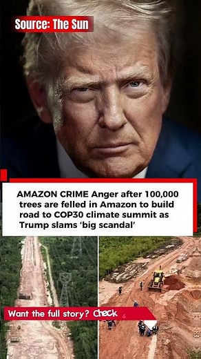 AMAZON CRIME Anger after 100,000 trees are felled in Amazon to build road to COP30 climate summit...