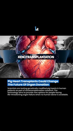 🫀 Pig Heart Transplants Could Revolutionize Organ Donation 😳🔬❤️