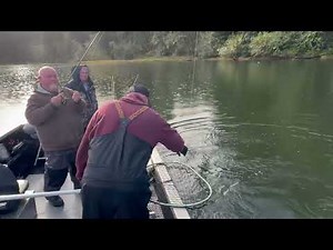 Tenmile Lake Coho of This Year