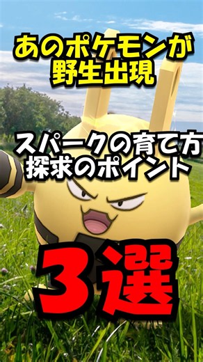【重要】スパークの育て方探究のポイント3選
