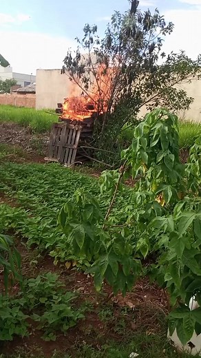 leandro Borges no TikTok