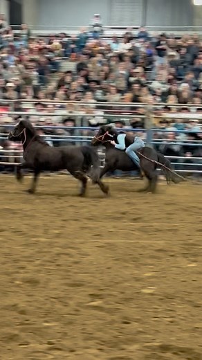 4.7K views · 1.2K reactions | Wild pony races at the Red Bluff Bucking Battle ‌ #rodeo #rodeoseason #rodeolife #rodeolifestyle #rodeotime #westernlife | The Rodeo Trail | Facebook