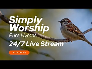 🐦 Simply Worship | Pure Hymns 24/7 Live Stream – Peaceful Worship Songs with Lyrics