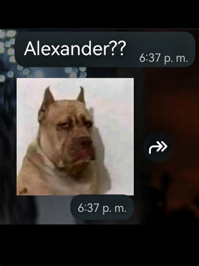 Versión del Cover Non Stop de Hamilton por Tami Rosales