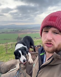 Are Border Collies good or bad as a pet? 🤔 | Sean The Sheepman