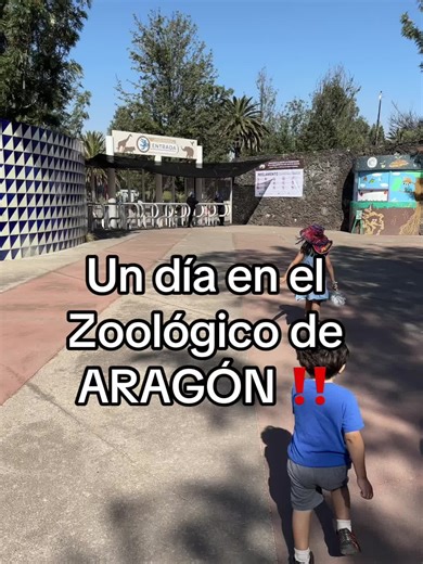 Quedé impresionada con este lugar 😍 #zoologico #entradagratuita #zoo #animales #animal #dondeircdmx #cdmx #gustavoamadero #dondeirconniños #kidsoftiktok #dondeirconfamilia #findesemana #weekendvibes
