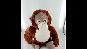 Watch ORANGUTAN Plush Toy - 360 View on Amazon Live