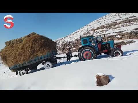 Extreme Winter Rescues: Massive Snow Recovery & Insane Ice Road Moments #1