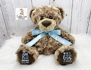 Weighted Teddy Bear Birth Stats Stuffed Animal, Personalized Plush Bear Birth Announcement Baby's Weight, Custom Newborn Teddy Birth Stat - Etsy