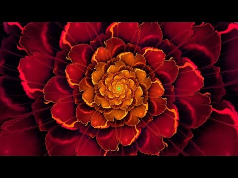 Chakra Meditation Music : Root Chakra Balancing & Healing Meditation Music