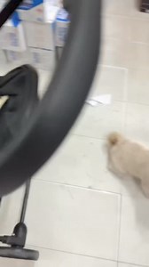 153K views · 2K reactions | Hello mấy cô chú | Chảnh Beauty | Facebook