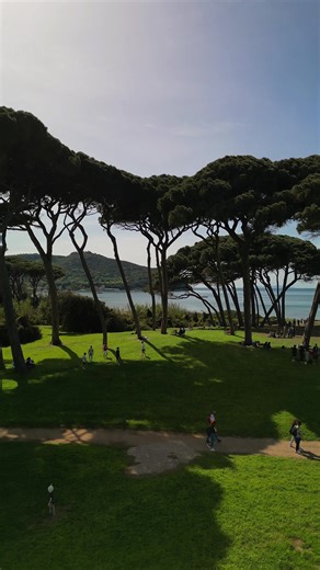Beautiful beach in Tuscany❤️ Do you know what kind of trees are these? #tuscany #italy #pinia #beach #mediterranean #droneflight #dronevideo #droneshot #dronetiktok #travel #beautifuldestinations