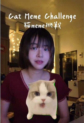 迷因貓貓挑戰！#meme #catsmeme #貓meme #貓迷因