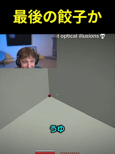ドクタードーナツの目の錯覚を楽しもう