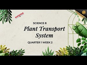 Science 8 Term 1 Week 2 Plant Transport System
