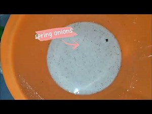 video assignment to create procedural text