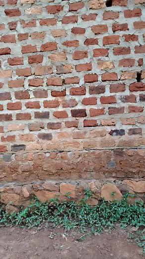 Dance with Emma: TikTok Dance Challenges Explained