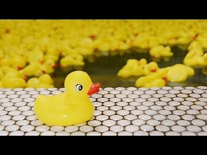 まるでポップアート アヒルでいっぱいのお風呂