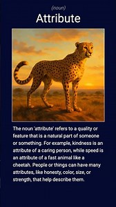 English word 'attribute' noun C1