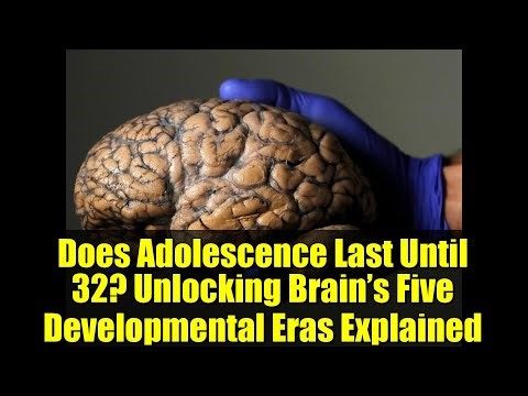 Does Adolescence Last Until 32? Unlocking Brain’s Five Developmental Eras Explained