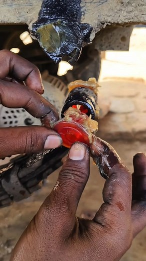 447K views · 1.6K reactions | Jelly bush change #jibonersathitotoservicing ️️ #facebookreelsviral #vairalreels #vairalvideo #shortsvideos | Jiboner sathi toto servicing | Facebook