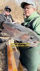 You can tell Spring is just around the corner when the rainbow trout begin their spawning run in the Finger Lakes tributaries. The spring spawning run is a great opportunity for DEC Biologists to sample the rainbow trout population. This week on Catharine Creek, the main tributary to Seneca Lake, fisheries staff from our Region 8 (Western Finger Lakes) Office were electrofishing for trout. Electrofishing, a sampling method that uses pulses of electricity in the water, is the best way to collect 