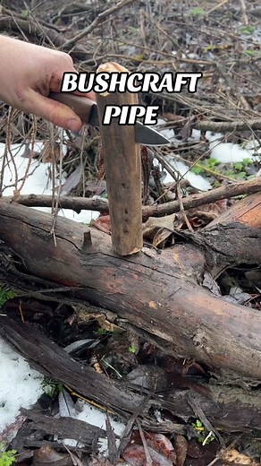 How to make a bushcraft pipe #fyp #survival #bushcraft #outdoors #wildernessskills